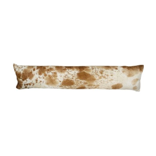 draught excluder cow brown (bos taurus taurus)