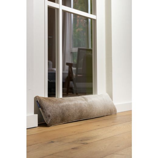 draught excluder cow grey (bos taurus taurus)