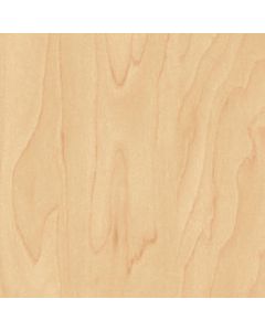 Birch wood Sebstklebender Folie Grosse Rolle Sand 45cmx15mtr