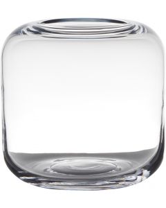 Celeste Vaas  h21 d21 