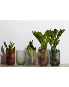 Emilia Display Matt couleurs h20 