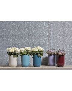 Emilia Display blauw paars h20 