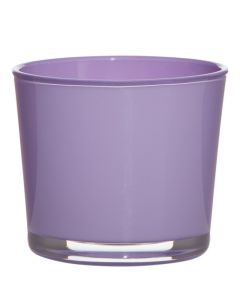 Conner Cache-Pot Glass regular african violet H9 D10 