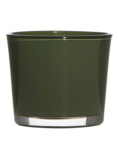 Conner regular leaf green H9 D10