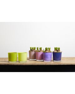 Display Conan Planter Colour violet h13 d13 