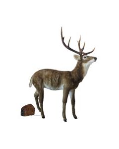 Animated Deer brown H171 D138x63