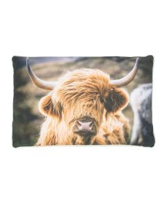 Schotse hooglander buitenkussen 40x60cm