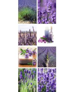 Banner Anika 75 cm x 180 cm