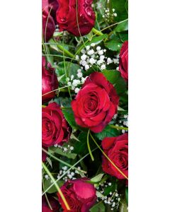 Banner Latoya 75 cm x 180 cm