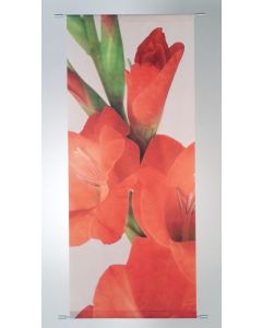 Banner Fabiola 75x180 cm