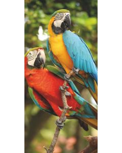 Display Banner Ciri 90 cm x 180 cm