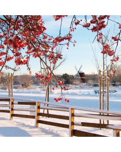Anton Quadre à l’extérieur photo imprimée 50x50cm 