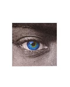 Indoor painting Silver eye 50 cm x 50 cm