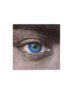 zilver Eye binnen schilderij fotoprint 50x50cm