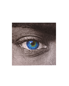 Indoor painting Silver eye 50 cm x 50 cm