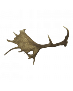 antler fallow deer (A/1kg) (dama dama) (EU only)