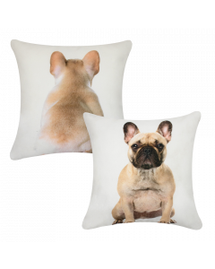 canvas kussen franse bulldog blond dubbelzijdig 33x33cm