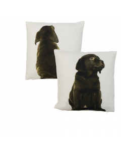 canvas cushion labrador brown double-sided 33x33cm