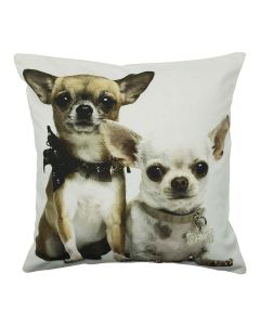 canvas kussen 2 chihuahuas 50x50cm*