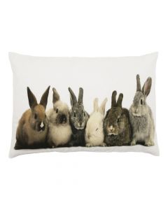 kanevas kissen kaninchen 35x50cm