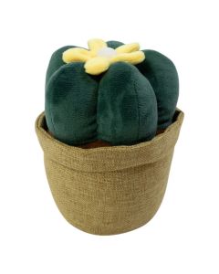 door stopper plant cactus h23 