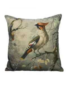 coussin velours charmants oiseau à crête 45x45cm*