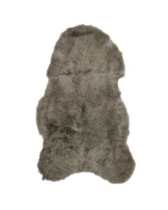 fur sheep iceland shaved taupe 100-110cm (ovis aries)