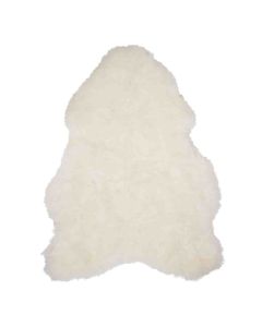 fur sheep iceland shaved white 100-110cm (ovis aries)