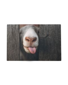 Deurmat Nieuwsgierig schaap 75x50cm