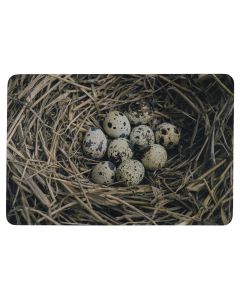 deurmat eieren in nest 75x50cm