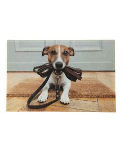 fußmatte jack russell 75x50cm