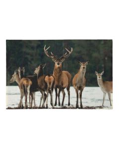 doormat snow flock cerf 75x50cm