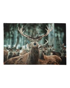 deurmat winter hert 75x50cm