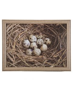 knietablett eier im nest 43cm*