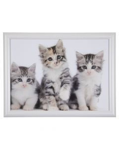 laptray kittens 43cm