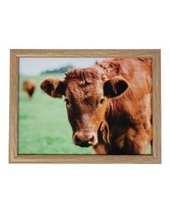 Schootkussen Zwitserse Koe in de wei 43cm