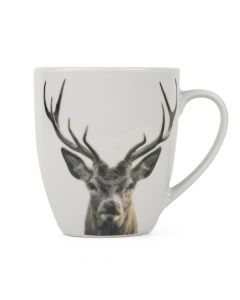 becher rotwild 400cc