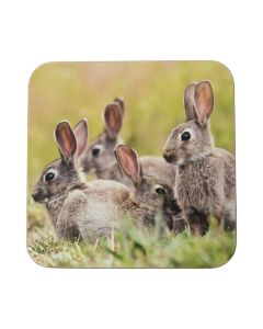 Coaster Rabbits family 10x10cm (set of 6)