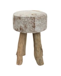 stool cow brown white round 45cm (bos taurus taurus)