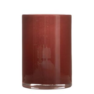 Cylinder Astra solid nature h20 d15