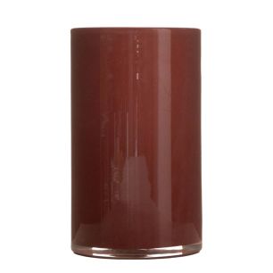 Cylinder Astra solid nature h25 d15