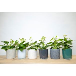 Display Glass Ceramic Cache-Pot couleur crème/gr/b h13 d13 