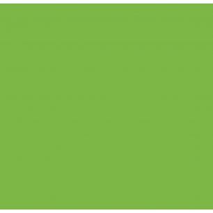 Fluor Self Adhesive Foil Mini Roll green 45cmx1,5mtr