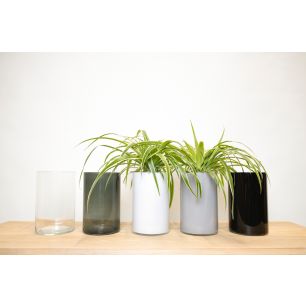 Levi Display gris/transp.gris/bl./blanc/transparent h21 