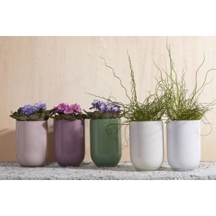 Emilia Display rose/crème h20 