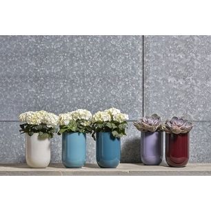 Emilia Display bleu violet h20 