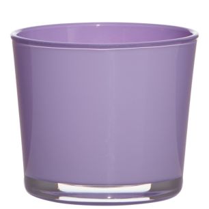 Conner Cache-Pot Glass regular african violet H9 D10 