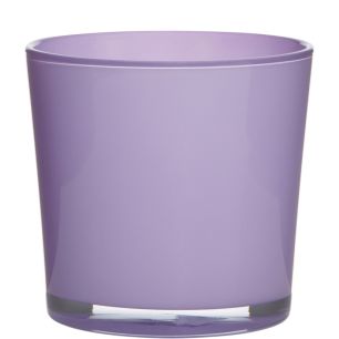 Conner Cache-Pot Glass regular african violet H16 D17 