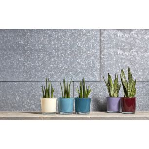 Display Conan Blumentopf Farbe blau lila h13 d13 