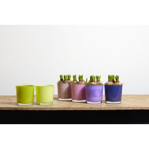 Display Conan Cache-Pot couleur violet h13 d13 